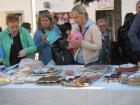 IMG_4391_s