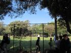 IMG_4751_s