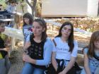 IMG_4828_s