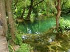 DSC02125_s