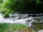 DSC02126_s