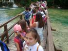 DSC02163_s
