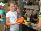 IMG_5875_s