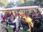 IMG_6947 - Copy - Copy_s