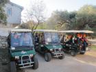 IMG_6948 - Copy - Copy_s