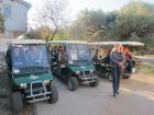 IMG_6949 - Copy - Copy_s