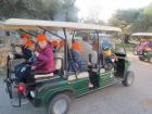 IMG_6950 - Copy - Copy_s