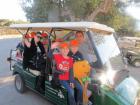 IMG_6951 - Copy - Copy_s