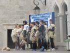 IMG_5328_s