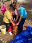 IMG-20221029-WA0008
