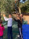 IMG-20221029-WA0018