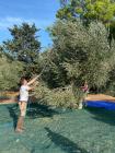 IMG-20221029-WA0019