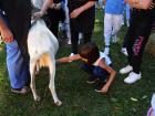IMG-20231003-WA0022