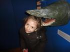 DSC01919