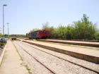 DSC07233_s