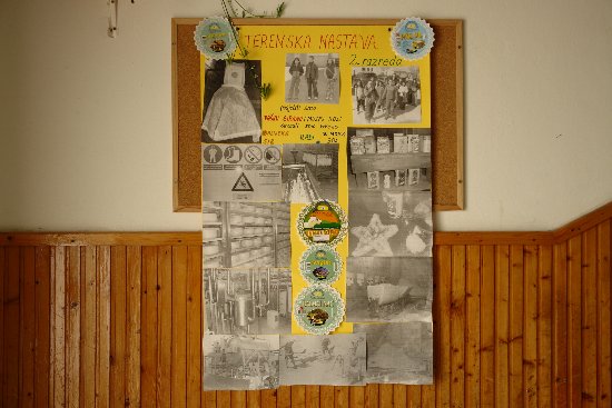 Hodnik - prizemlje