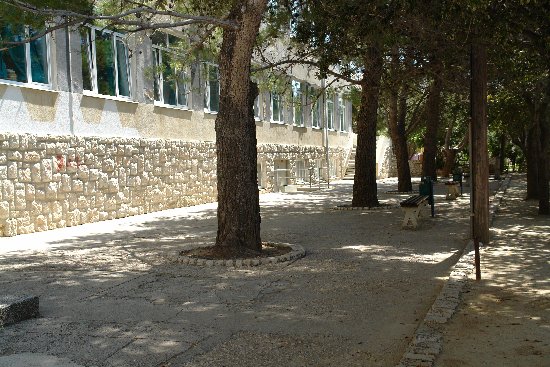 kolsko dvorite