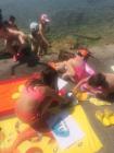#U0160KOLA U PRIRODI 102