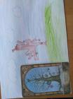 IMG_20171020_123505