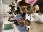 IMG-3784