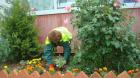 DSC03338