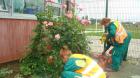 DSC03347