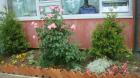 DSC03362