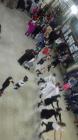 IMG_20160209_174619