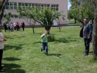 SAM_4373