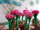 SAM_5581