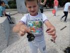 SAM_5836