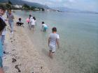 SAM_5838