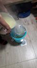 IMG-20190603-WA0005