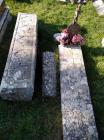 IMG-20201106-WA0006