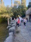 IMG-20231011-WA0015