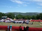 SAM_0179