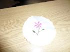 SAM_0473