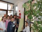 SAM_0817