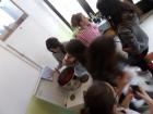 SAM_0877