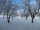 SAM_0996