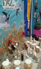 IMG-20160413-WA0016