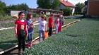 WP_20140605_010