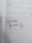 IMG_20201130_155206