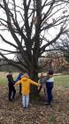IMG-Ffd267467b4a4af4a053aaf7a12620ba-V