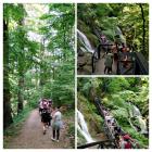 20230527_151720-COLLAGE