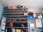 IMG-20161005-WA0010