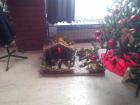 IMG_20161209_113603