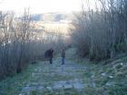 DSC05601
