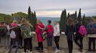 WP_20171129_09_34_49_Pro