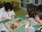 Plava-Riba-Zdrava-Hrana45